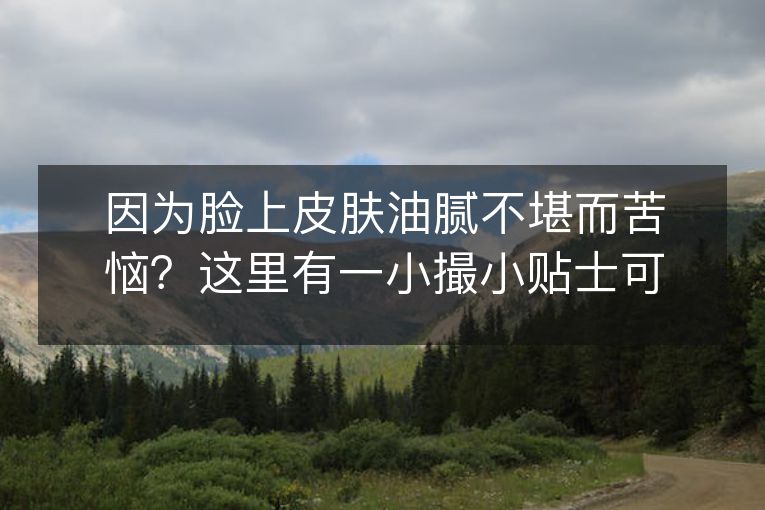 因为脸上皮肤油腻不堪而苦恼？这里有一小撮小贴士可以帮到你！